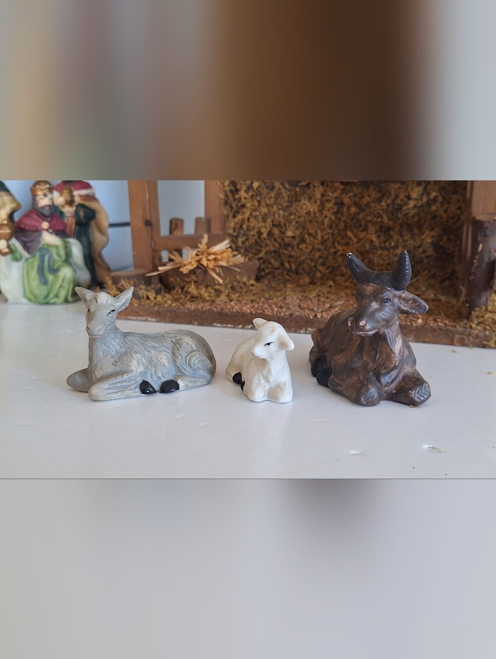 Nativity Scene - Picture 12 of 17